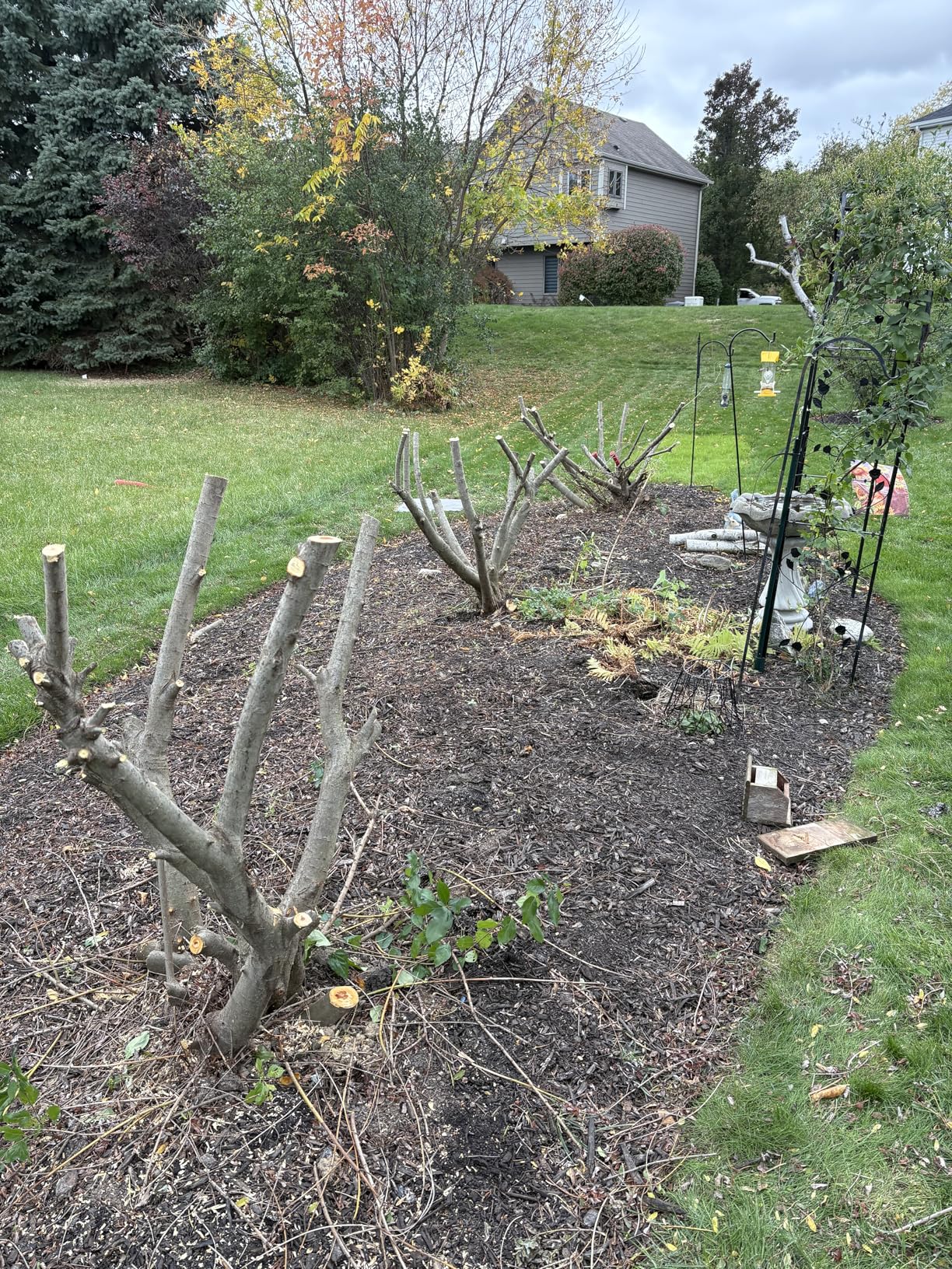 Customer review photo 6